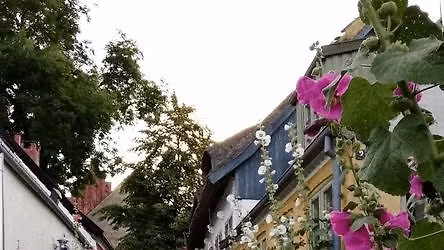 I maleren L.A. Rings fodspor