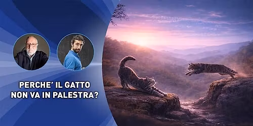 Perch\u00e9 il gatto non va in palestra?