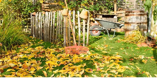Fall Garden Clean-Up Workshop
