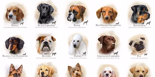 Umpqua Kennel Club 2026 Annual Show