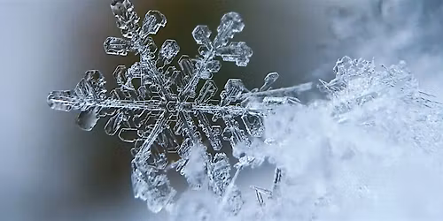 Winter SoundBath with Caitlin Ryan