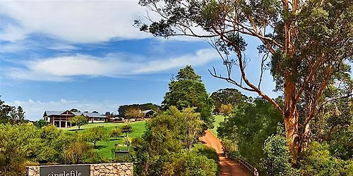 Winery Spotlight: Single File Wines of Australia