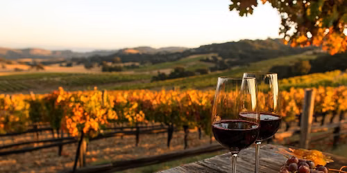 The Art of Wine Tasting - Willamette Valley