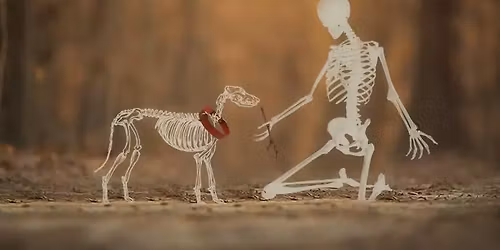 Cadaver Dog Training 01.2026