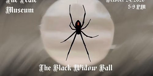 The Black Widow Ball