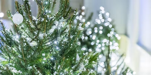 Christmas 2025 | The Snow Queen