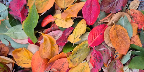 H\u00f8stmix | Konsert med Lillestr\u00f8m kulturskole