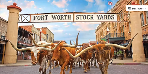 2nd Wednesday Networking Lunch