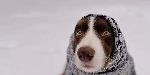 CraftWorks -- DIY Winter Scarf Wreath