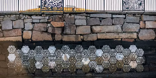 Living Seawalls Tour