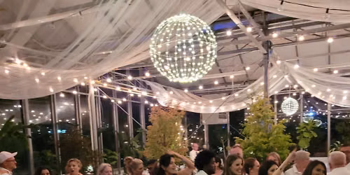 Night in White Garden Party - Quinte