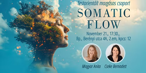 Somatic Flow - Testorient\u00e1lt mozg\u00e1sos csoport