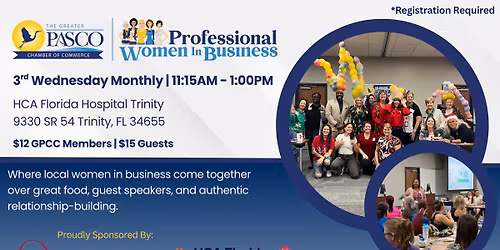 Professional Women in Business Networking Lunch