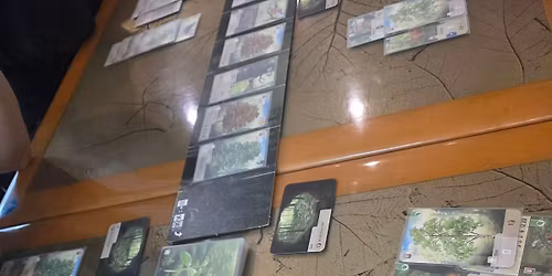 Strongsville South Park Mall Board Game Meetup