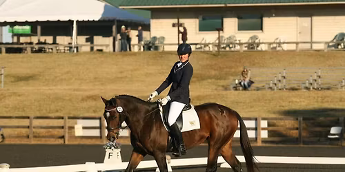 Dressage Clinic with Cassidy Oeltjen