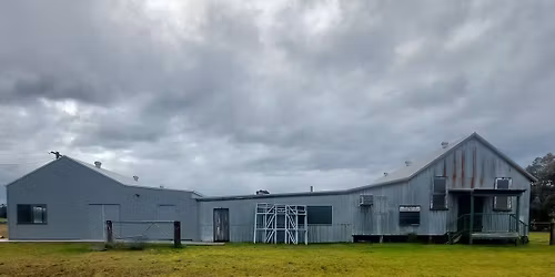 Wybong Annual Mouse Races