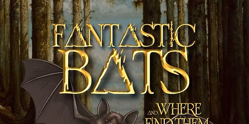Fantastic Bats and Where to Find Them