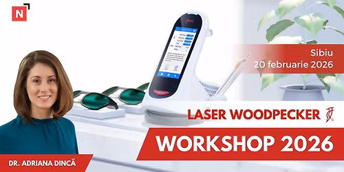 Workshop LASER Woodpecker, dr. Adriana Dinc\u0103 \u2013 SIBIU