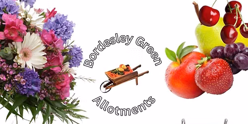 BGA Allotment Show