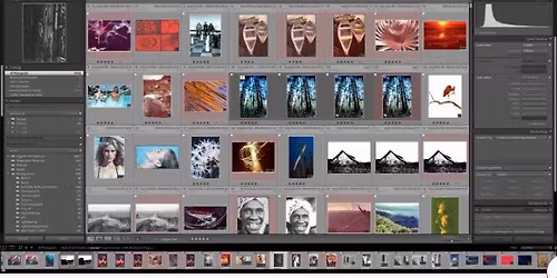 Lightroom Workshop