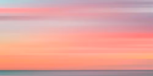 Tradewinds Forum: Conversation with our Head of School and Founder