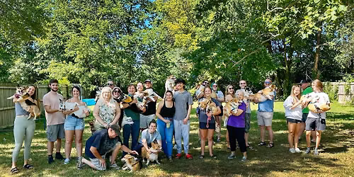 Calling all Corgis!! Corgi Paw-ty!