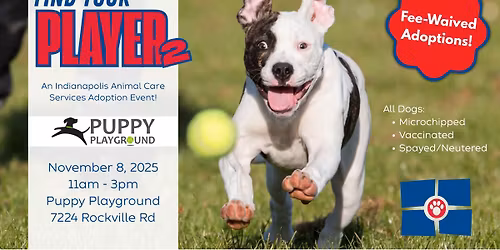 Find Your Player 2 Adoption Event