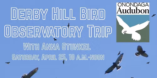 Derby Hill Bird Observatory Trip