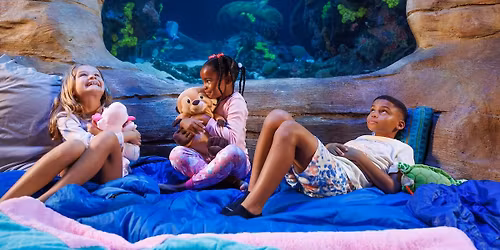 Public Sleep in the Deep