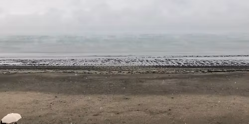 Casey Driessen in Brevard