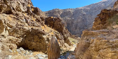 Carrizo Canyon Hike