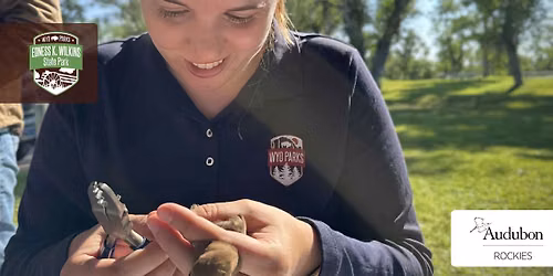 Bird Banding