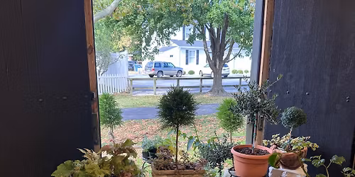 Tea Sampling at Topiary & Tea