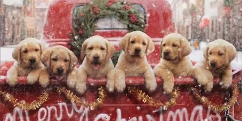 Christmas Bazaar & Craft Fair - November 15th