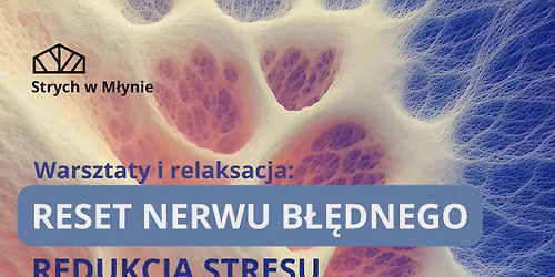 Reset Nerwu B\u0142\u0119dnego \u2013 Redukcja Stresu \u2013 warsztaty i relaksacja