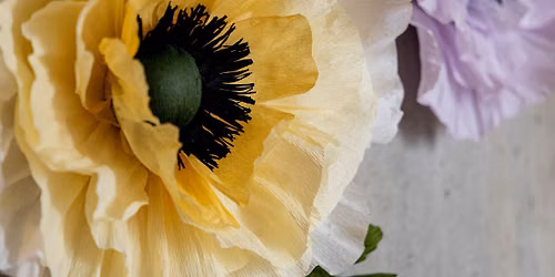  Blomsterverksted: Giant wallflowers