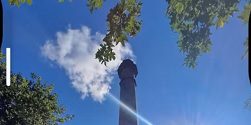 The Gentle Giants in full steam + General interest rally