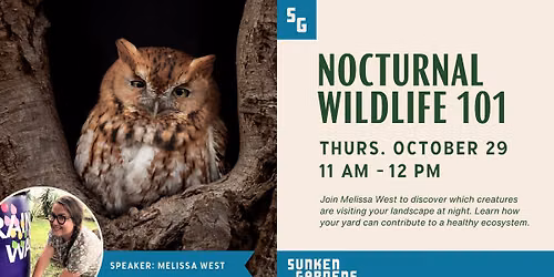 Nocturnal Wildlife 101: Things That Go Bump in the Night