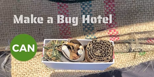 Make a Bug Hotel for the Climate