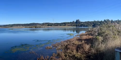 King Tides High Tide Hike at Elkhorn Slough Reserve