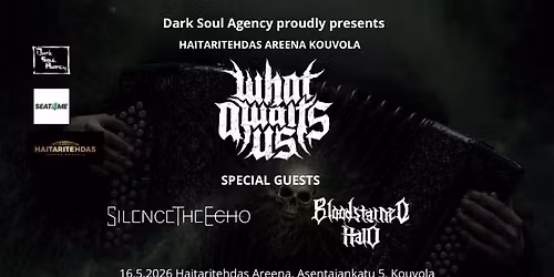 DSA Core, What Awaits Us - Silence The Echo - Bloodstained Halo