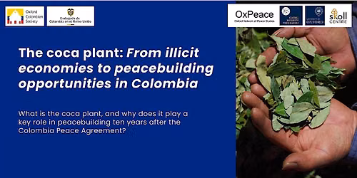 The Coca Plant: From illicit economies to peacebuilding opportunities