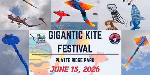 Gigantic Kite Festival