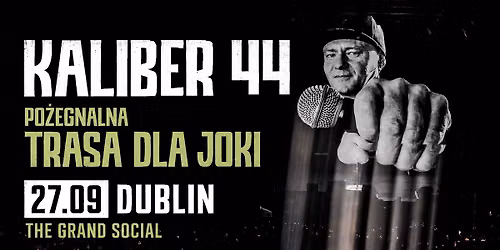 PO\u017bEGNALNA TRASA DLA JOKI - DUBLIN