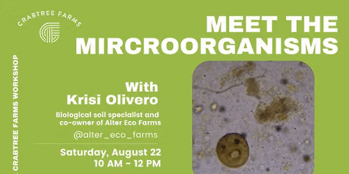 Meet the Microorganisms