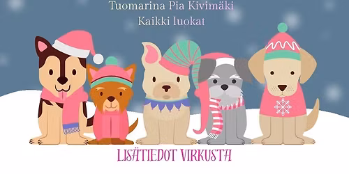 JOULUTONTTU RALLY-TOKO KILPAILU