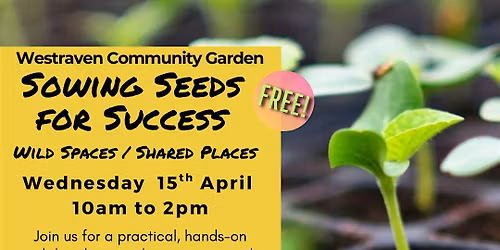 Sowing Seeds for Success