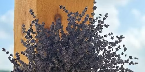 Everlasting Lavender: Dried Wreath Workshop with Four Suns Farm Lavender