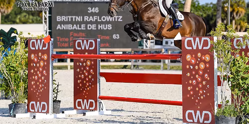 Mid Spring Concours USEF National H\/J