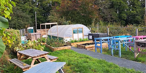 Wildflower Nursery Meet & Grow Session
